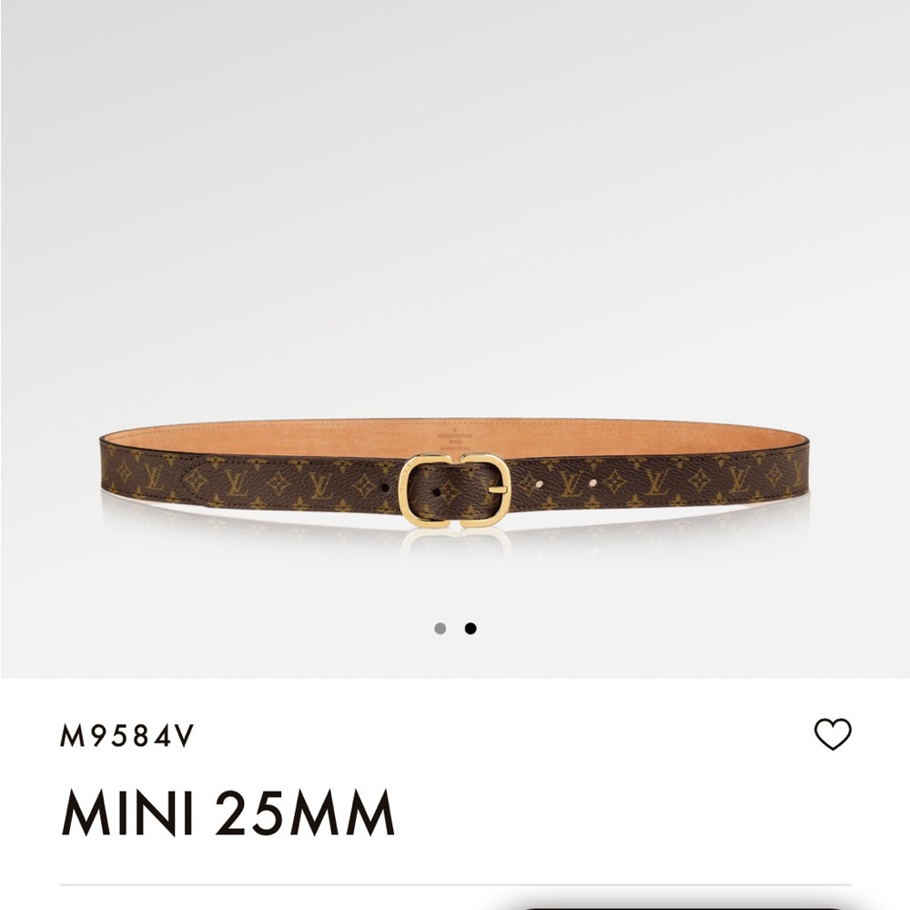 New Louis Vuitton belt